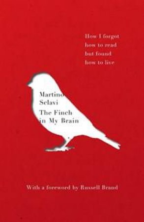 The Finch In My Brain by Martino Sclavi