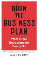 Burn The Business Plan