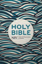 NIV Holy Bible Hodder Classics