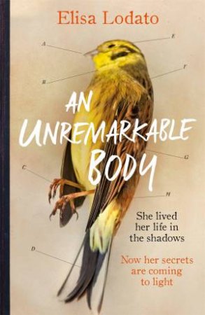 An Unremarkable Body by Elisa Lodato