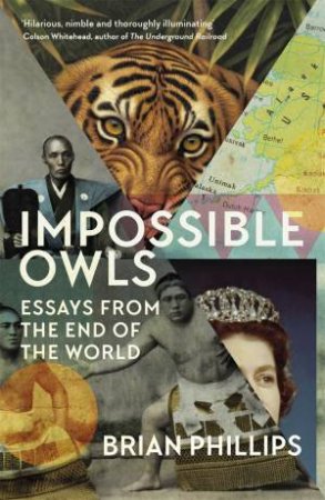 Impossible Owls by Brian Phillips