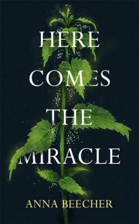 Here Comes The Miracle by Anna Beecher