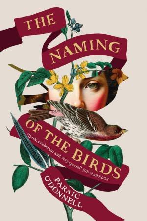 The Naming of the Birds by Paraic O'Donnell