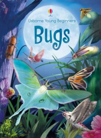 Usborne Young Beginners Bugs by Emily Bone & Cinzia Battistel