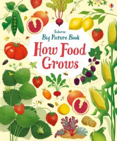 Big Picture Book How Food Grows by Emily Bone & Sally Elford