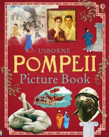 Pompeii Picture Book by Struan Reid