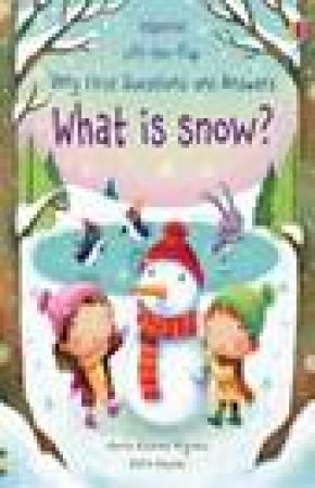 Lift-the-Flap Very First Questions and Answers: What is Snow? by Katie Daynes & Marta Alvarez Miguens