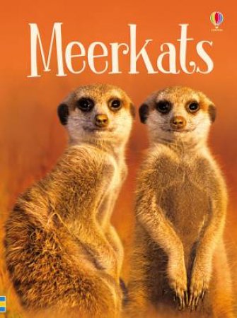 Beginners Meerkats by James Maclaine & Jeremy Norton