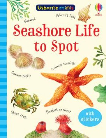 Mini Books Seashore Life To Spot by Sam Smith & Stephanie Fizer Coleman