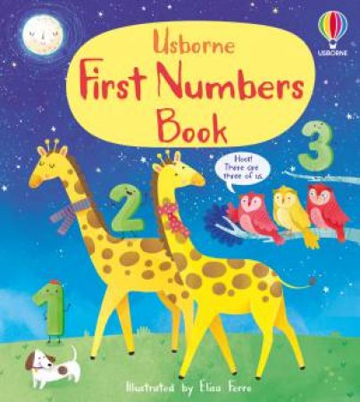 First Numbers Book by Mary Cartwright & Matthew Oldham & Elisa Ferro