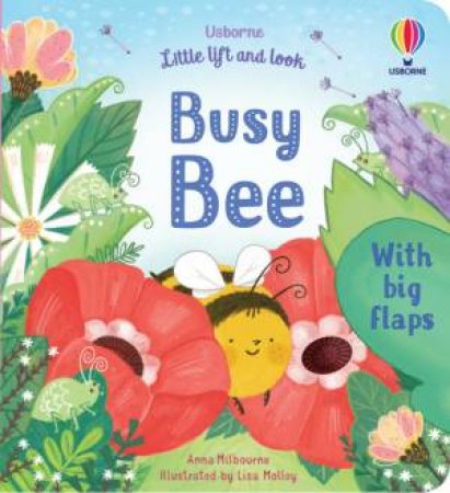 Little Lift And Look Busy Bee by Anna Milbourne & Lisa Molloy