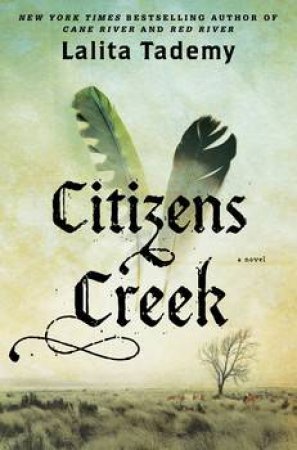 Citizens Creek: A Novel by Lalita Tademy