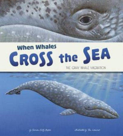 When Whales Cross the Sea: The Gray Whale Migration by SHARON KATZ COOPER