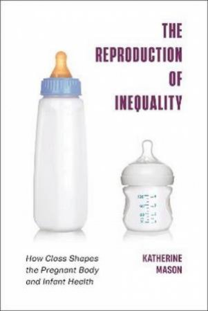 The Reproduction of Inequality by Katherine Mason