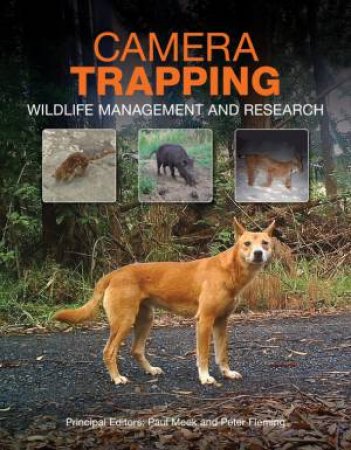 Camera Trapping: Wildlife Management and Research by Various