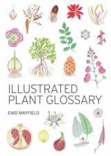 Illustrated Plant Glossary