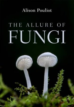 The Allure Of Fungi by Alison Pouliot