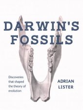 Darwins Fossils