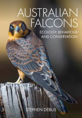 Australian Falcons by Stephen Debus