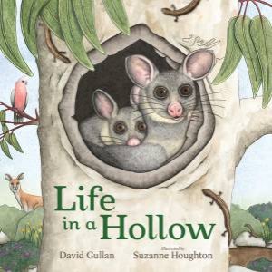 Life in a Hollow by David Gullan & Suzanne Houghton