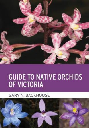 Guide To Native Orchids Of Victoria by Gary N. Backhouse