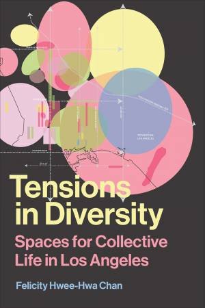 Tensions In Diversity by Felicity Hwee-Hwa Chan