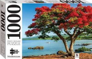 Mindbogglers 1000 Piece Jigsaw: Trinidad, Cuba by Various