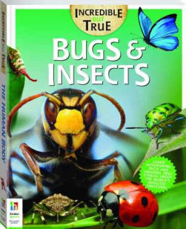 Incredible But True: Bugs And Insects by Melanie Bridges