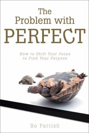 The Problem with Perfect by Bo Parrish