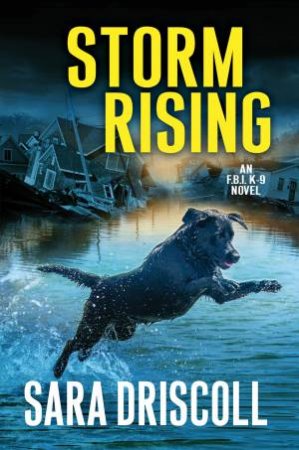 Storm Rising by Sara Driscoll