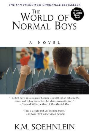 The World Of Normal Boys by K.M. Soehnlein