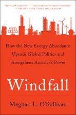 Windfall How The New Energy Abundance Upends Global Politics And Strengthens Americas Power