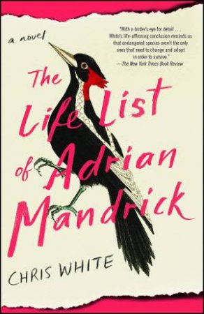 Life List Of Adrian Mandrick by Chris White