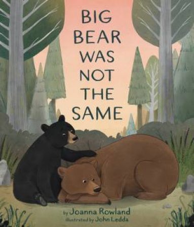 Big Bear Was Not The Same by Joanna Rowland