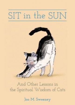 Sit in the Sun by Jon M. Sweeney