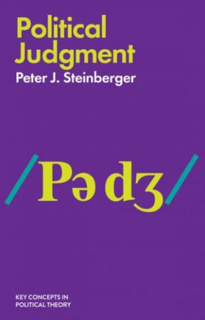 Political Judgment: An Introduction by Steinberger