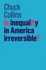 Is Inequality On America Irreversible