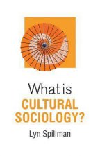 What Is Cultural Sociology