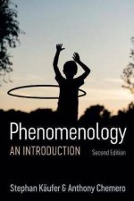 Phenomenology