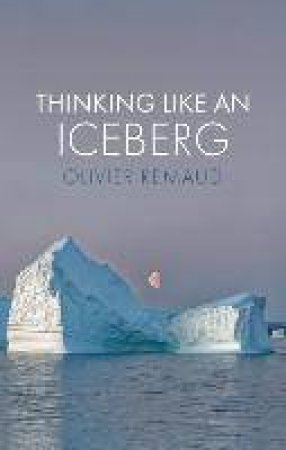 Thinking Like An Iceberg by Olivier Remaud & Stephen Muecke