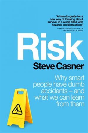 Risk! by Steve Casner