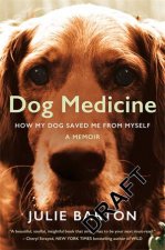 Dog Medicine How My Dog Saved Me From Myself