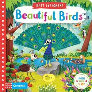 Beautiful Birds by Campbell Books & Chorkung