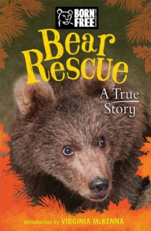 Born Free: Bear Rescue by Jess French