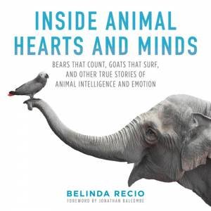 Inside Animal Hearts And Minds by Belinda Recio & Jonathan Balcombe