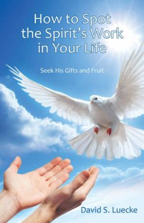 How To Spot The Spirit's Work In Your Life: Seek His Gifts And Fruit by David Luecke