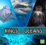 Animal Rulers Kings of the Oceans