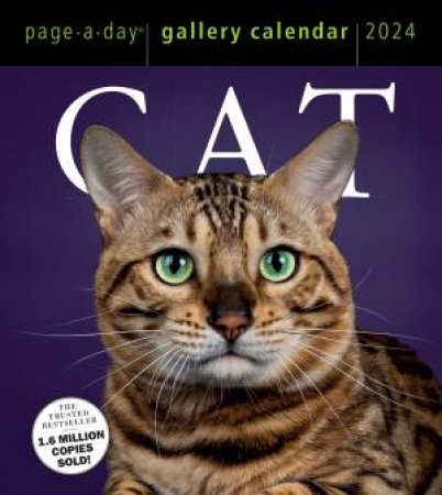 Cat Page-A-Day Gallery Calendar 2024 by Workman Calendars