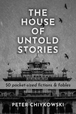 The House Of Untold Stories by Peter Chiykowski