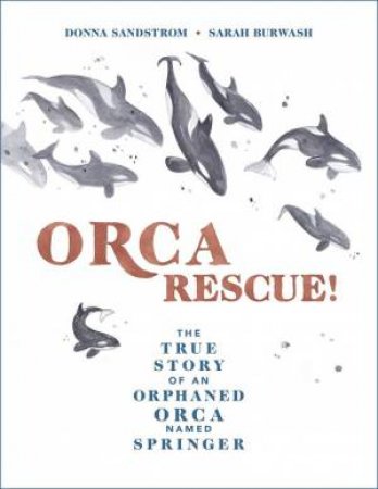 Orca Rescue!: The True Story Of An Orphaned Orca Named Springer by Donna Sandstrom